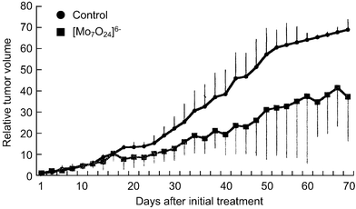 Therapeutic effectiveness of PM-8 for MKN-45 implanted nude mice.