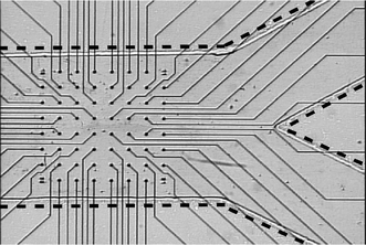 MEA-60 microelectrode array with Y-shaped microfluidic channel fabricated on top. Dashed lines are added to highlight the channel walls. The fluidics and substrate are optically transparent, allowing visualization of the array.