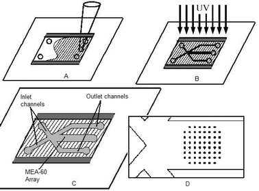 Schematic of fabrication process. The microfluidics are fabricated by pressing a hybriwell on top of the MEA-60 chip, thus forming a shallow cavity over the array. The cavity is first filled with pre-polymer (a). A mask is then placed above the cavity and ultraviolet light polymerizes the exposed monomer (b). Remaining liquid is removed under suction, leaving channels of the desired geometry (c). A blowup of the array within the outlet channel is pictured (d).