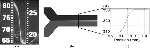 Preliminary experiments on temperature control revealed that it is possible to obtain a controllable temperature gradient using laminar flow. For visualization, an aquarium thermometer was embedded under a microfluidic channel (a). FEMLAB software was used to model the flow system (b), and Temperature vs. position plots generated from the simulation (c) showed theoretical gradients.
