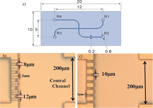 (a) Drawing of the microfluidic chip with dimensions in mm. Photographs of the trapping sites, (b) layout 1 and (c) layout 2, in the microfluidic chip design.