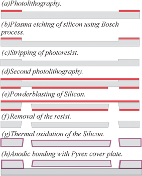 Schematic of the fabrication process.