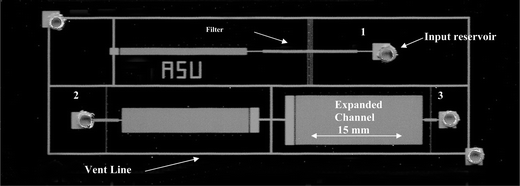Optical micrograph of microfluidic devices fabricated in silicon and glass. Three microfilter shear rate test devices are integrated into a single test cell. (1) 15 mm long main channel, (2) 4 mm main channel, (3) 2 mm main channel. Average shear rate is controlled by adjusting the length of the filtration channel and the ratio of narrow/expanded channel area.
