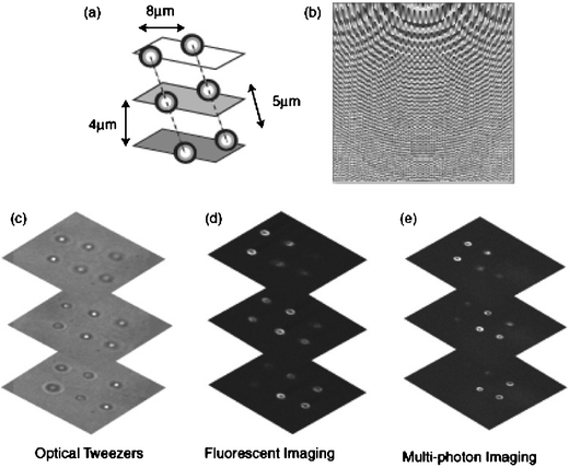 Permanently set 3D structure of fluorescent spheres. A schematic of the structure (a), the hologram used to create the traps (b), and images taken in optical tweezers (c), and then removed from the tweezers and imaged within a confocal (d) and multi-photon (e) microscope.