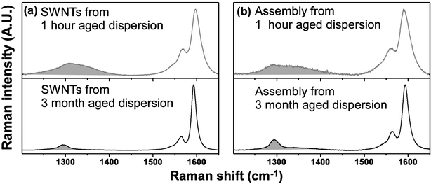 785 nm Resonance Raman spectra of acid treated SWNTs after dispersion in DMF and (a) aging for 1 hour and 3 months, respectively and (b) self-assembly of SWNT forests on Si substrates from the above DMF/SWNTs dispersion. Shaded regions indicate the locations of defect-induced band (D-band).