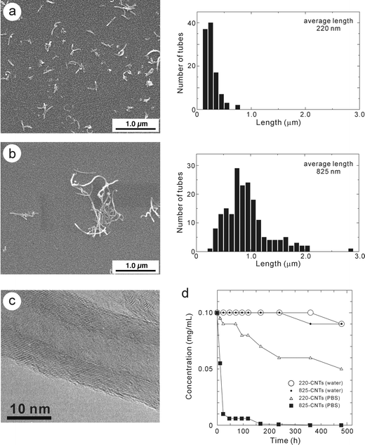 SEM (left) and size-distribution (right) of 220-CNTs (a) and 825-CNTs (b). (c) TEM photographs of 220-CNTs. (d) CNT concentration versus time plots for both 220-CNTs and 825-CNTs dispersed in water and PBS; 220-CNTs in water (○), 825-CNTs in water (•), 220-CNTs in PBS (□) and 825-CNTs in PBS (■), respectively.