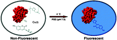 Reproduced with permission from J. Am. Chem. Soc., 2005, 127, 14150–14151. Copyright 2005 American Chemical Society.