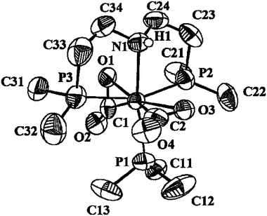 ORTEP view of the molecule in compound 1.