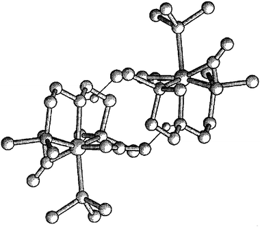Molecular view of two molecules of 1 showing the hydrogen bonds.