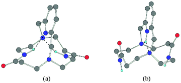 DFT-optimized molecular structures of (a) L1 and (b) [H(L1)]+. Possible hydrogen bonds are visualized with dashes. For the sake of clarity, only the pertinent hydrogen atoms are represented.