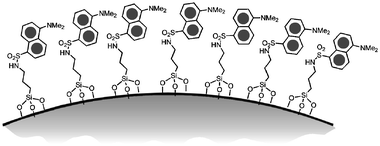 Schematic representation of dansyl covered silica nanoparticles.