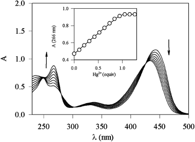 Absorption spectra of 2 in methanol–water (1∶1 v/v, pH 7.0) and upon addition of an increasing amount of Hg2+ ions.