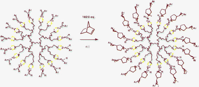 Formation of dendritic stars by ROMP of generations 1 to 3 metallodendritic ruthenium benzylidene complexes (generation 3 shown here; the two chloride ligands on the Ru atoms are omitted for clarity; the ROMP is faster with the metallodendrimers than with a monometallic model).45
