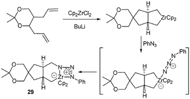 Synthesis of triazenidoalkylzirconocene 29.