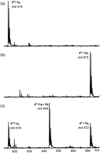 Partial ESI mass spectra of: (a) 42+BF4− with 1a, (b) 42+BF4− with 1b and (c) 42+BF4− with a 1∶1 mixture of 1a and 1b in acetonitrile. Heterodimer formation is clearly observed in the statistical 1∶2∶1 ratio.