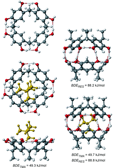 AM1-optimized geometries of the resorcinarene monomer 1a in its crown conformation (top left), its empty dimer (top right), the monomeric 2+·1a complex (bottom left, shown as top and side views), and the dimer-guest complex 2+·1a2 (bottom right). Hydrogen bonds are shown as dotted lines. The bond dissociation energies represent the calculated binding energies of the tetramethyl ammonium cation (BDETMA) and of the two resorcinarene monomers (BDERES).