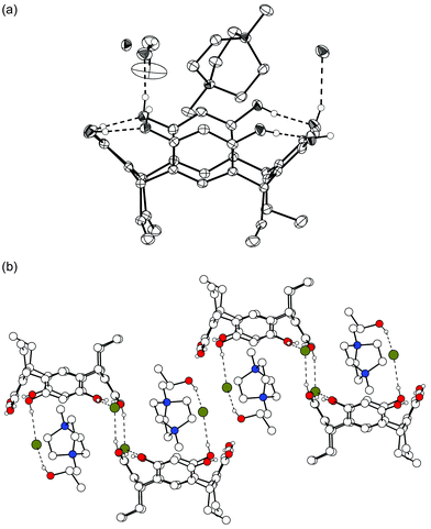 X-Ray crystal structure of complex III. Non-hydrogen bonding hydrogens are omitted for clarity. Hydrogen bonds are shown by dashed lines. (a) A thermal ellipsoid (50% probability level) plot of the asymmetric unit. One of the two bromide anions and one EtOH are H-bonded to 1b. (b) Resorcinarenes are connected via hydrogen bonds from phenolic OH groups to EtOH molecules, bromide anions and finally adjacent resorcinarenes, forming infinite chains.