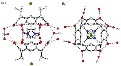 X-Ray crystal structure of the dimeric 1b capsule encapsulating disordered 42+. (a) Side view of the capsule showing the hydrogen-bonding pattern with dashed lines. The bromide anion is located in between the ethyl chains of 1b. (b) Top view of the capsule. Hydrogens are omitted for clarity.6f
