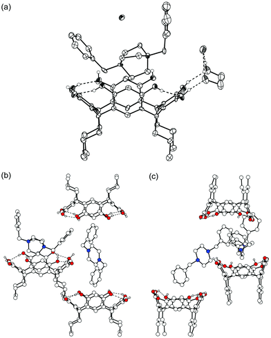 X-Ray crystal structure of complex VI. (a) Thermal ellipsoid plot drawn with 50% probability level of one of the cations and resorcinarenes in the structure. (b) View of the second, disordered dication and its interactions with 1c molecules. (c) Side view of the arrangement.