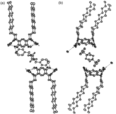 Thermal ellipsoid plot of complex VII with 50% probability level. Solvents and non-hydrogen bonding hydrogens are omitted for clarity. (a) The 2∶1 complex of 1d and 52+. (b) View of the bending of the alkyl chains and the offset π⋯π interactions of 52+ benzyl groups with the interior of 1d aromatic rings.