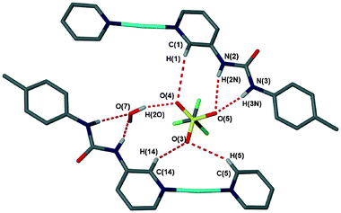 The hydrogen bonding environment around the triflate anion in the structure of 8. Coordinated acetonitrile omitted for clarity.