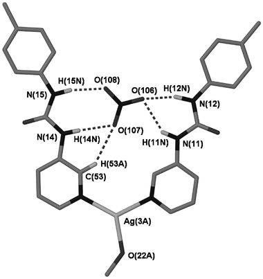 Close size and shape complementarity of the nitrate anion with [Ag(1)2]+ in the structure of 10.