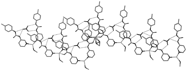 A discrete heptameric assembly within the structure of 10.