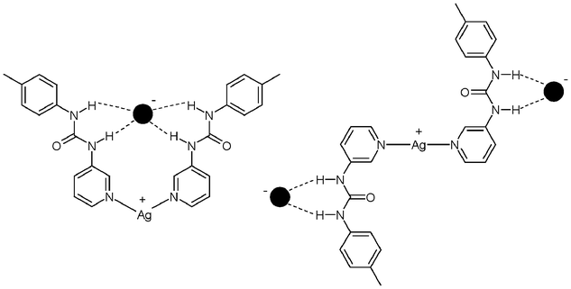 The two proposed conformations adopted by the [Ag(1)2]+ host in solution with either one anion coordinated between arms or with the arms binding independently.