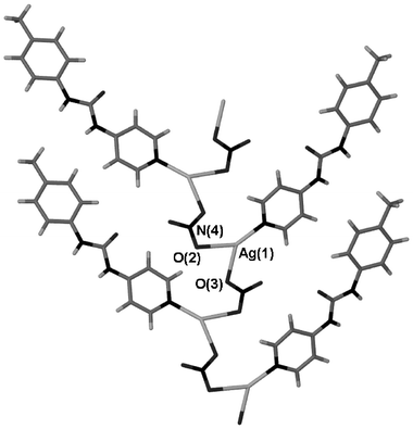 A silver-nitrate coordination polymer running through the structure of 6. Selected distances (Å): Ag(1)–O(2), 2.510(6); Ag(1)–O(3), 2.334(7).