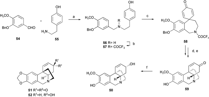 Reagents and conditions: a) NaBH4, r.t.; b) TFAA, pyridine, r.t.; c) PIFA, CF3CH2OH, −25 °C; d) BCl3, CH2Cl2, −78 °C; e) 10% aq. KOH ; f)
							l-Selectride, THF, −78 °C.