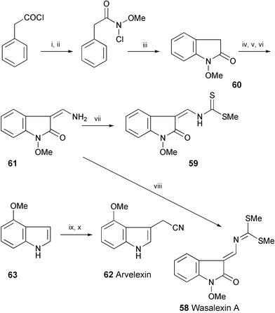 Reagents and conditions: i, MeONH2·HCl, Na2CO3; ii, t-BuOCl; iii, Ag2CO3, TFA; iv, HCO2Et, NaH; v, SOCl2; vi, NH4OH, MeOH; vii, NaH (1.1 eq.), CS2, then MeI (1.1 eq.); viii, NaH (2.1 eq.), CS2, then MeI (2.1 eq.); ix, MeI, Mg, Et2O; x. BrCH2CN.
