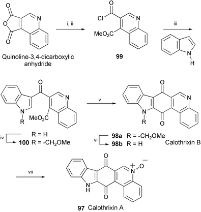 Reagents and conditions: i, dry MeOH, reflux; ii, SOCl2, reflux; iii, indole, MeMgCl, ZnCl2, CH2Cl2, rt; iv, NaH, MOMCl, THF, rt; v, LHMDS, TMEDA, THF, −78 °C to rt; vi, BBr3, CH2Cl2, 0 °C to rt; vii, m-CPBA.