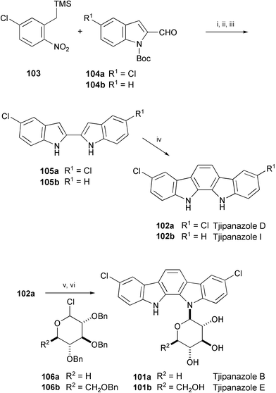 Reagents and conditions: i, cat. TBAF, 103, 104a or 104b; ii, TFAA, then DBU; iii, P(OEt)3 or Pd(OAc)2, PPh3; iv, (dimethylamino)acetaldehyde diethyl acetal, AcOH; v, 45% KOH, Aliquat 336, 106a or 106b; vi, Pd(OH)2, H2.