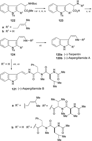 Reagents and conditions: i, 1. 10% HF, MeCN, 2. HOBT, EDC, DIEA, DMF, 0–25 °C, Boc–NMe-l-Val–OH, 3. 10% HF, MeCN, 4. HATU, DIEA, DMF, 0–25 °C, Boc-l-Val–OH, 5. TMSOTf, 2,6-lutidine, 6. MeOH; ii, 1. TFA, CH2Cl2, 2. HOBT, EDC, DIEA, DMF, 0–25 °C, Boc-l-NMePhe–OH, 3. TFA, CH2Cl2, 4. HATU, DIEA, DMF, 0–25 °C, Boc-l-Leu–OH, 5. TFA, CH2Cl2; iii, Et3N, Ac2O, CH2Cl2; iv, LiOH, THF, H2O; v, Pb(OAc)4, Cu(OAc)2, pyridine, THF, 0 °C to rt; vi, PS-TBD, CH2Cl2, 0 °C; vii, Mg, MeOH, rt, 0 °C to rt; viii, KI, AcOH.