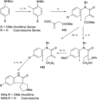 Reagents and conditions: i, t-BuLi, Et2O then ICH2CH2I; ii, TFA, CH2Cl2; iii, ZnCl2, PhCHO, MeOH, NaBH3CN; iv, Et3N, 143, PhH; v, PhSH, DBU, THF; vi, DIBAL-H, PhMe; vii, m-CPBA, CH2Cl2, then PhMe, heat; viii, LiCl, NaBH4, EtOH, THF; ix, PPh3, (PhO)2P(O)N3, DEAD, THF; x, (Me3Si)3SiH, AIBN, PhH; xi, CH2O, NaBH3CN, MeCN; xii, Na, NH3.
