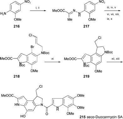 Reagents and conditions: i, NaNO2, HCl, then SnCl2; ii, NaOAc, methyl pyruvate, MeOH; iii, PPA, xylene; iv, AlCl3, CH2Cl2; v, BnBr, K2CO3; vi, Boc2O, DMAP; vii, Lindlar catalyst, quinoline, AcOEt, H2; viii, Boc2O, THF; ix, NBS, THF; x, NaH, DMF, then (E/Z)-1,3-dichloropropene; xi, (Me3Si)3SiH, AIBN, PhH; xii, 4 M HCl–AcOEt, then TMI-CO2H, EDC, DMF; xiii, NH4HCO2, Pd/C, THF.