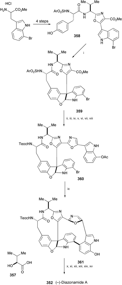 Reagents and conditions: i, PhI(OAc)2, LiOAc, 2,2,2-trifluoroethanol, inverse addition, −20 °C; ii, PhSH, Na2CO3, DMF, rt; iii, TeocCl, CH2Cl2, aq. K2CO3; iv, LiOH, aq. MeOH; v, 7-hydroxytryptamine, TBTU, i-Pr2NEt, DMF; vi, Ac2O, pyridine, CH2Cl2, THF; vii, DDQ, THF, H2O; viii, PPh3, (CCl3)2, Et3N, CH2Cl2, 15 min; ix, hν
					(300 nm), LiOH, MeCN, H2O; x, 4-nitrophenyltriflate, K2CO3, DMF; xi, 20% Pd(OH)2/C, H2, AcOEt, MeOH, rt; xii, diallyldicarbonate, Et3N, THF, rt, then TeocCl, Et3N, rt, then [Pd(PPh3)4], morpholine, 0 °C; xiii, 2,3,4,5,6,6-hexachloro-2,4-cyclohexadien-1-one, DMF, rt; xiv, (Me2N)3SSiMe3F2, DMF, rt; xv, 357, (EtO)2P(O)CN, N-methylmorpholine, THF, rt.