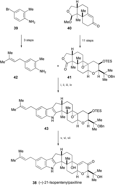 Reagents and conditions: i, 42, MeLi, Et2O, TMSCl, 0 °C, then s-BuLi, 0 °C to rt, then 0 °C quench with 41, 0 °C to rt; ii, PhMe, 110 °C; iii, MsCl, DMAP, CH2Cl2; iv, t-BuMgCl, PhMe, 110 °C; v, TBAF, THF; vi, Ph3BiCO3, PhH; vii, 10% Pd/C, 1-methyl-1,4-cyclohexadiene, MeOH, 65 °C.