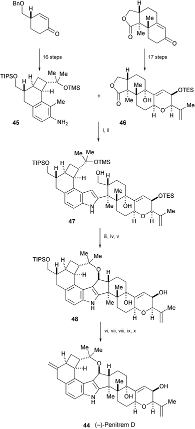 Reagents and conditions: i, n-BuLi, THF, −78 °C to rt, then TMSCl, 0 °C, then s-BuLi, 0 °C, then 46, THF–Et2O (1 : 1), 0 °C; ii, SiO2, CHCl3; iii, SO3·pyridine, DMSO–Et3N (4 : 1); iv, 1 N HCl, THF–H2O (5 : 1); v, Sc(OTf)3, PhH; vi, Ac2O, DMAP, Et3N, CH2Cl2; vii, TBAF, THF, 0 °C to rt; viii, o-nitrophenylselenocyanide, P(n-Bu)3, THF; ix, m-CPBA, NaHCO3, CH2Cl2, 0 °C to rt; x, K2CO3, MeOH, 0 °C to rt.