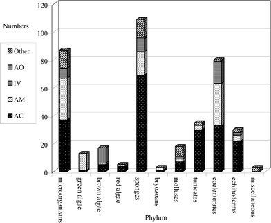 Distribution of biological activity by phylum. (AC–cancer related assays including cytotoxicity, antimitotic, histone deacetylase, proteasome, TNF, a range of kinases, DNA binding and matrix metalloproteinase; AM–antimicrobial, antiinfective, antiTb, antimalarial assays; AO–antioxidant assays; IV–in vivo assays such as brine shrimp and sea urchin eggs; Other–includes antiviral assays, assays based on central nervous system responses, feeding deterrent assays, ion channel assays, antifouling assays and assays for Fe siderophores, neuronal differentiation, oocyte lysis, sperm attractant and UV-A activity).