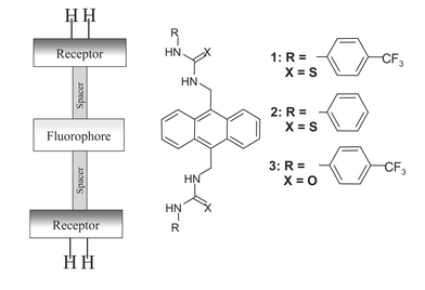 The receptor–spacer–fluorophore–spacer–receptor model used and the corresponding sensors 1–3.