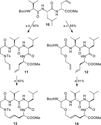 Cyclisation of 16-membered rings; (a) HCl, dioxane, 0 °C, 30 min; (b) 1 equiv N-tosyl-N-allyl-β-Ala, 1.1 equiv TBTU,35 5 equiv, NEt3, CH2Cl2, 10 h; (c) 1 equiv Boc-Ser(OAll), 1.1 equiv TBTU, 5 equiv, NEt3, CH2Cl2, 8 h; (d) 10 mol% RuCl2(PCy3)2(CHPh), CH2Cl2, reflux, 15 h.