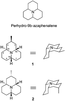 Structures of hippodamine (1) and epi-hippodamine (2), derivatives of perhydro-9b-azaphenalene.