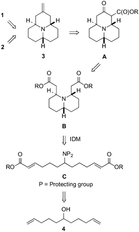 Retrosynthesis for (±)-hippodamine (1) and (±)-epi-hippodamine (2).