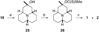 (a)
						(1) MeLi, toluene, 0 °C, (2) crystallization from Et2O (61%); (b)
						(1)
						nBuLi, THF, −78 °C, (2) CS2, rt, (3) MeI (42%); (c) Bu3SnH, AIBN, toluene, reflux (46%).