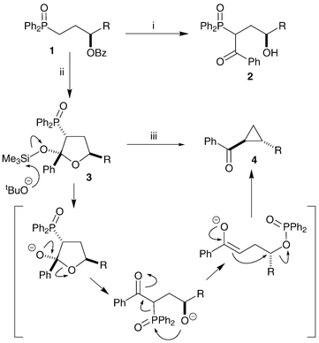 Reagents and conditions: i, LDA, THF, −78 °C; ii, LDA, Me3SiCl, THF, −78 °C; iii, tBuOK, tBuOH.