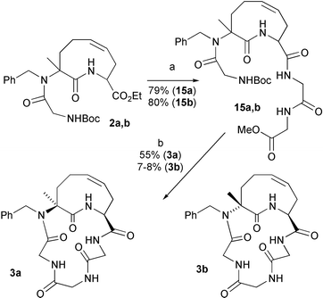 
            Reagents and conditions: a) 1. NaOH, EtOH, r.t.; 2. H-GlyGlyOMe, BOP, Et3N, CH2Cl2. b) 1. LiOH, THF–H2O; 2. TFA; 3. HATU, sym-collidine, DMF–CH2Cl2
						(6 mM).