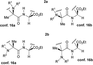 Simplified alternative conformations of 2a and 2b.