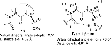 Conformational comparison of a simplified analogue of scaffold 2a and type II′
						β-turn. The conformation of 18 was minimized with Chem3D and corresponds to conformation 16a
						(Fig. 1). Virtual dihedral angles and distances a–d for the type II′
						β-turn were determined by applying standard bond length and angles and the dihedral angles typical of this β-turn.