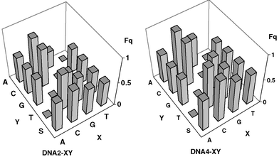 Graphical representation of the amount Fq within the DNA arrays DNA2-XY and DNA4-XY.